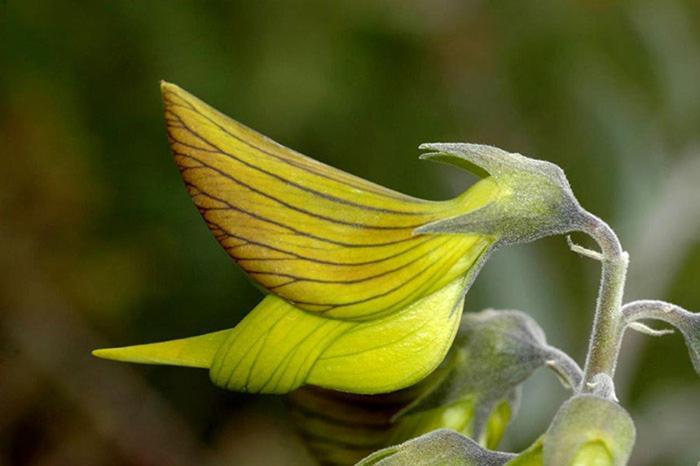 COLIBRI LOC - insolite - 3 étoiles - PARC - ETANG - FAMILLES - SOIREE OK Brigne Exterior foto